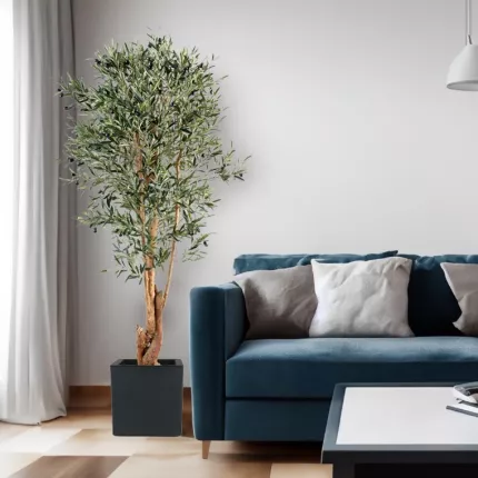 OLIVIER artificiel NEW tronc noueux 150 à 210 cm  (olives noires) dans un salon