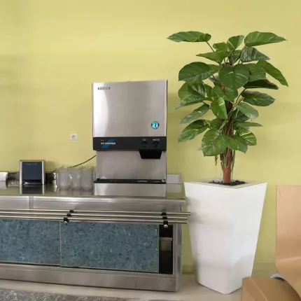 POTHOS artificiel GEANT  vert/crème 150 cm dans une caféteria