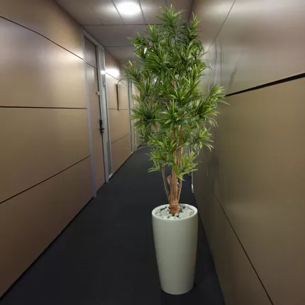 mise en situation DRACENA artificiel REFLEXA 180 cm dans un couloir
