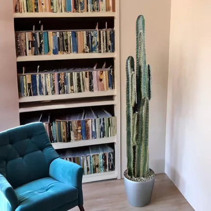 CACTUS artificiel finger 180 cm vers une bibliothèque