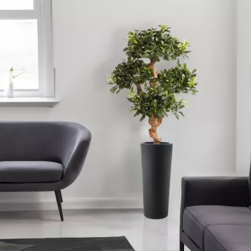 PITTOSPORUM artificiel MOUNTAIN tree ou Pittosporum  montagne 120 cm dans un salon