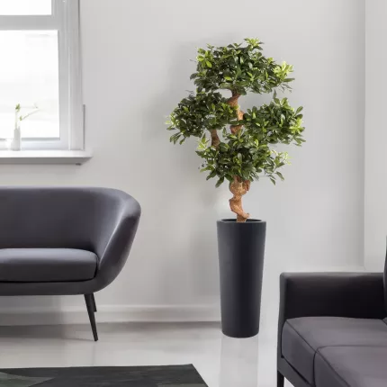 PITTOSPORUM artificiel MOUNTAIN tree ou Pittosporum  montagne 120 cm dans un salon