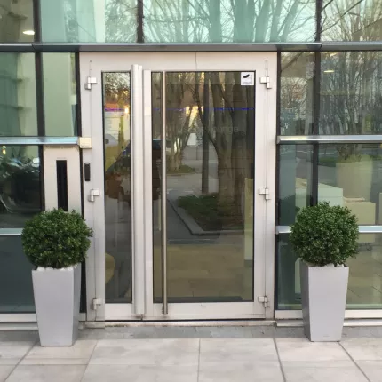 mise en situation BUIS artificiel BOULE NEW de diamètre 50 cm