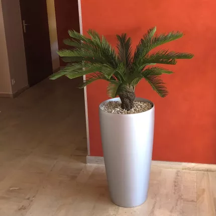 CYCAS artificiel TRONC 90 cm dans un hall d'entrée