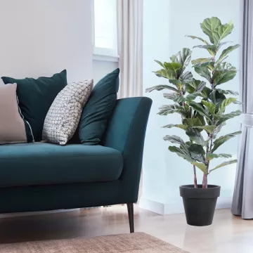 mis en situation LYRATA artificiel (figuier)  60 à 130 cm dans un salon