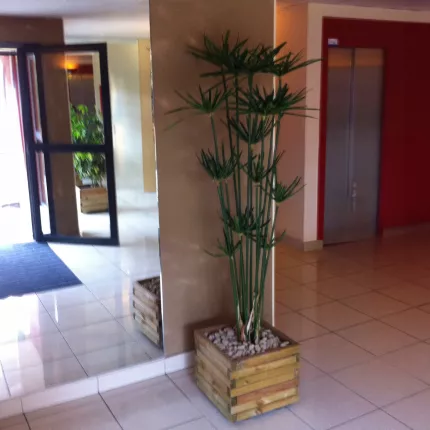 PAPYRUS artificiel ALTERNIFOLIUS 180 cm dans un hall d'entrée