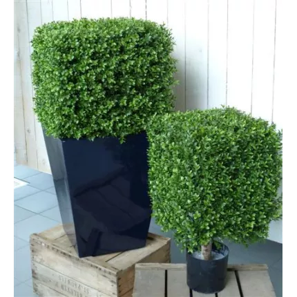 BUIS artificiel CARRE NEW 32 à 47 cm