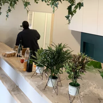 mis en situation DRACENA artificiel ANITA 45 et 75 cm sur comptoir