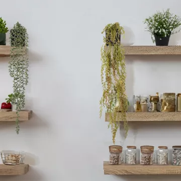 mise ne situation renoué plastique sur une étagère