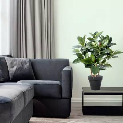mis en situation FICUS artificiel ELASTICA buisson ou caoutchouc 90 cm