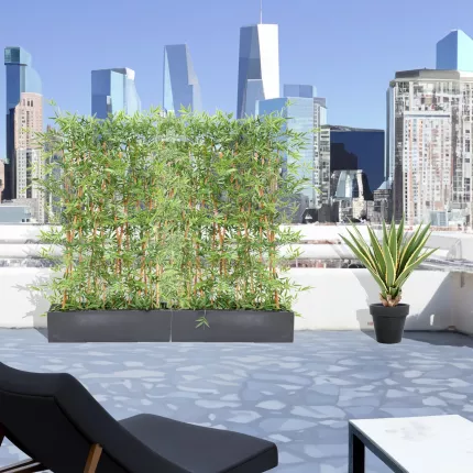mis en situation HAIE artificielle BAMBOU japenese plast sur terrasse