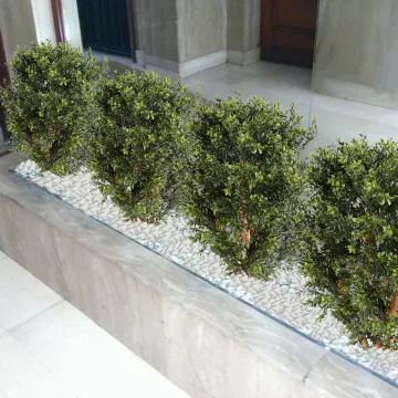mis en situation Buis artificiel buisson 60 et 80 cm