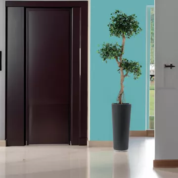 mis en situation FICUS artificiel RETUSA crazy 150 cm dans une entrée