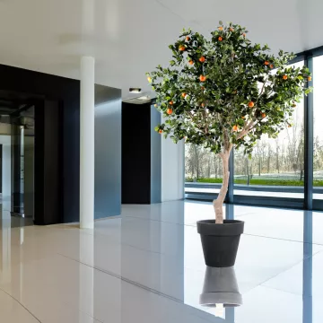 mis en situation ORANGER artificiel arbre LARGE 280 cm
