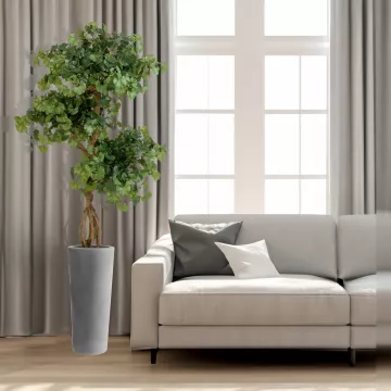 GINGKO BILOBA artificiel bonsaï 150 cm dans un salon