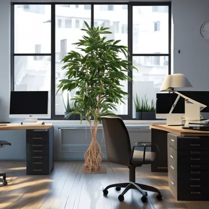 mis en situation FICUS  artificiel LONGIFOLIA  racine 210 cm