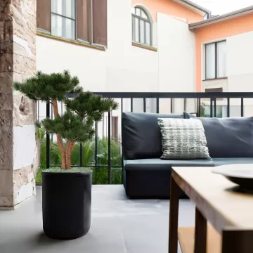 mis en situation BONSAI artificiel PIN UV 70 cm sur une terrasse