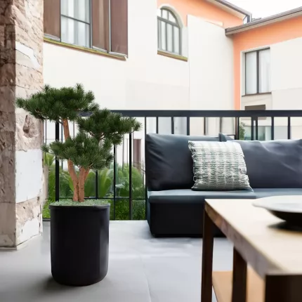 mis en situation BONSAI artificiel PIN UV 70 cm sur une terrasse