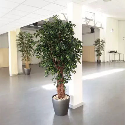mis en situation FICUS artificiel LIANE Deluxe 150 à 330 cm