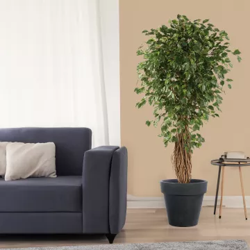 mis en situation FICUS artificiel LIANE EXOTICA de luxe 120 à 300 cm dans un salon