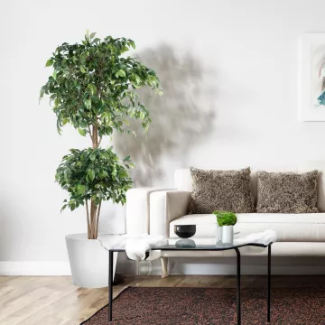 mis en situation FICUS artificiel DOUBLE boule 150 et 180 cm