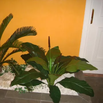ANTHURIUM artificiel JUNGLE KING  80 cm dans une composition végétale