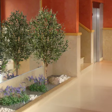 OLIVIER artificiel NATUREL 140 et 170 cm dans hall d'entrée