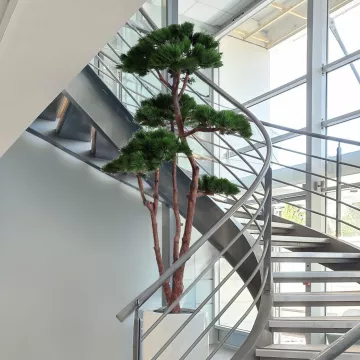 PIN multiple artificiel 250 cm dans une entrée dans un escalier