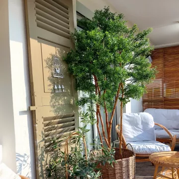 Eucalyptus Plast Artificiel arbre 150 à 210 cm sur une terrasse