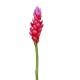 GINGEMBRE fleur artificiel  ou GINGER artificiel 85 cm