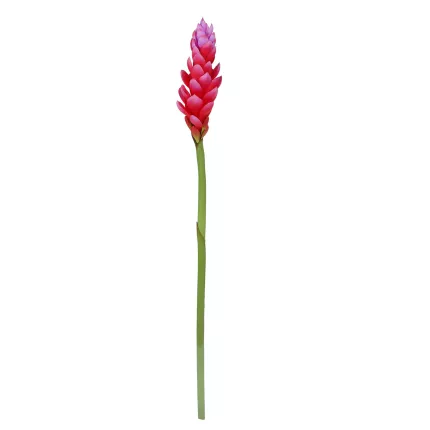 GINGEMBRE fleur artificiel  ou GINGER artificiel 85 cm