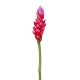 GINGEMBRE fleur artificiel  ou GINGER artificiel 85 cm