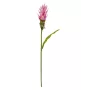 CURCUMA fleur artificiel 80 cm en tige