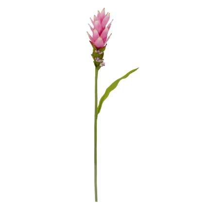 CURCUMA fleur artificiel 80 cm en tige