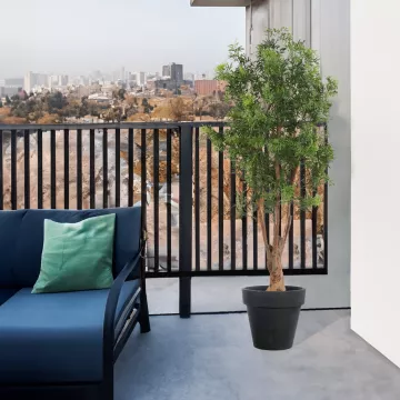mise en situation ARALIA artificiel MING NITIDA tronc noueux 165 cm sur une terrasse