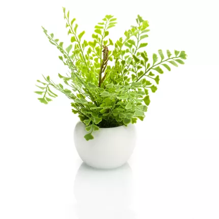 mini FOUGERE artificielle 17 cm en pot - fougère Capillaire