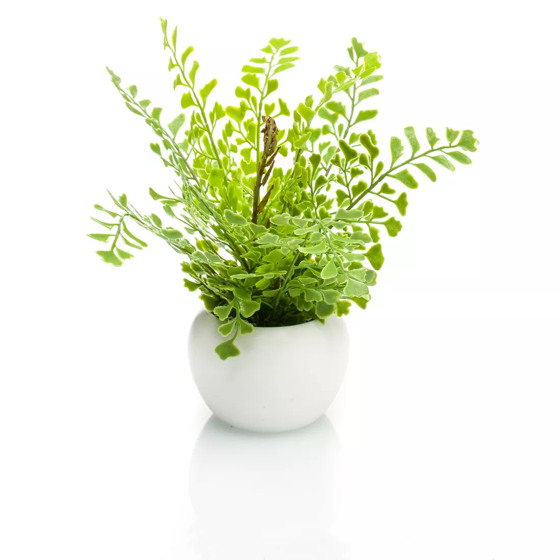 mini FOUGERE artificielle 17 cm en pot - fougère Capillaire