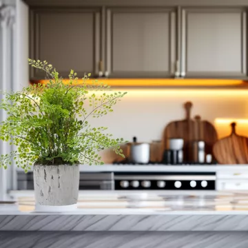 mise en situation FOUGERE artificielle Adianthum 35 cm en pot dans une cuisine