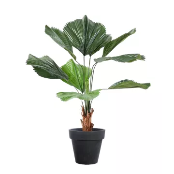 LICUALA GRANDIS artificiel  120 cm en pot