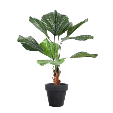 LICUALA GRANDIS artificiel  120 cm en pot