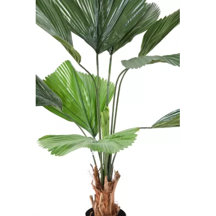 feuilles et tronc LICUALA GRANDIS artificiel  120 cm