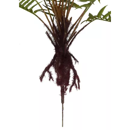 racines FOUGERE artificielle mexicaine sur racine 45 cm