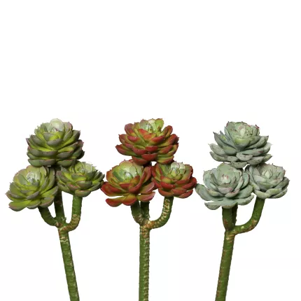 Succulentes artificielles Echeveria ou Sedum ou Sedeveria 20 cm