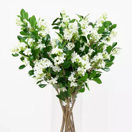 mise en situation JASMIN artificiel 70 cm en bouquet