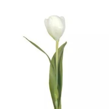 TULIPE artificielle 37 cm