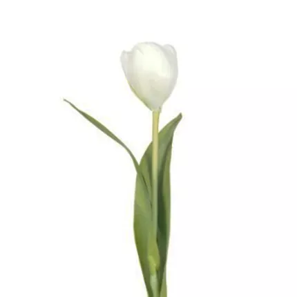 TULIPE artificielle 37 cm