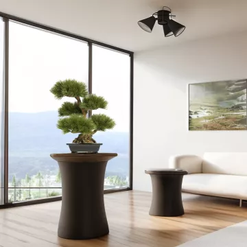 mis en situation BONSAI artificiel PIN 70 cm dans un salon moderne