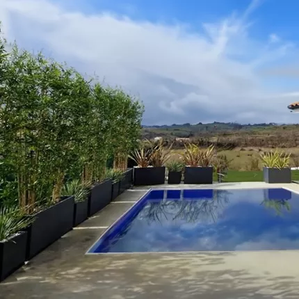 mis en situation BAMBOU artificiel Japenese PLAST autour d'une piscine