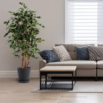 mis en situation feuilles FICUS artificiel Exotica 180 et 210 cm