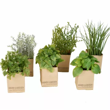 HERBES artificielles AROMATIQUES en sac papier 16 à 24 cm vendu par 3
